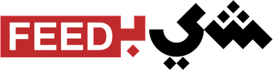 ShiBiFEED Logo